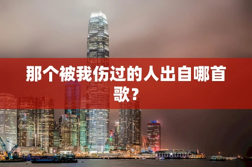 那个被我伤过的人出自哪首歌？