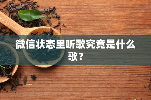 微信状态里听歌究竟是什么歌？