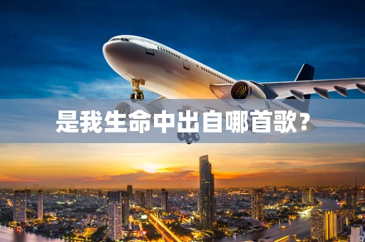 是我生命中出自哪首歌？