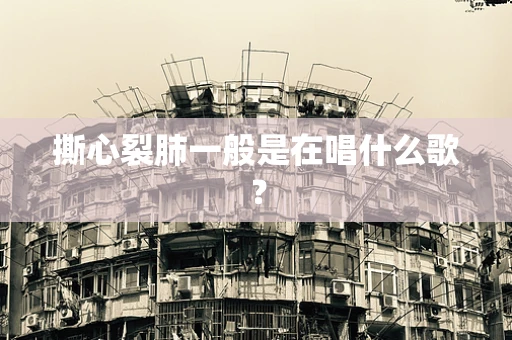 撕心裂肺一般是在唱什么歌？