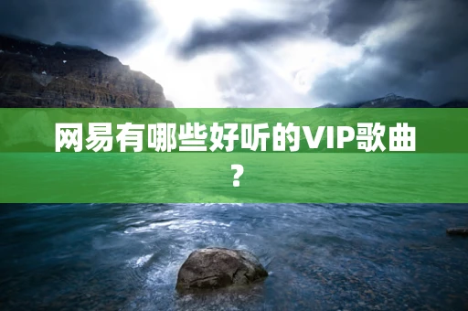 网易有哪些好听的VIP歌曲？