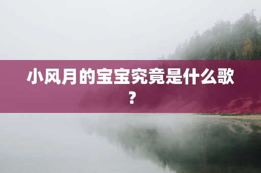 小风月的宝宝究竟是什么歌？