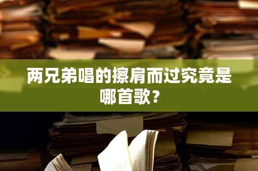 两兄弟唱的擦肩而过究竟是哪首歌？