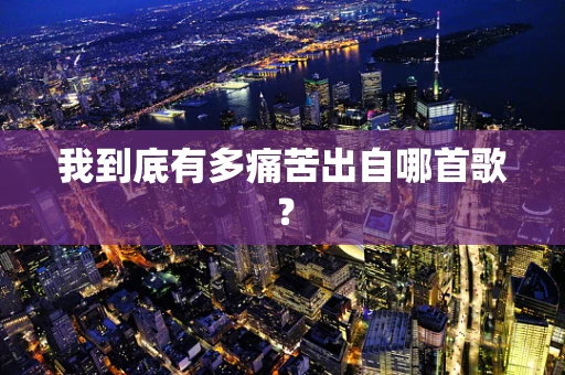我到底有多痛苦出自哪首歌？
