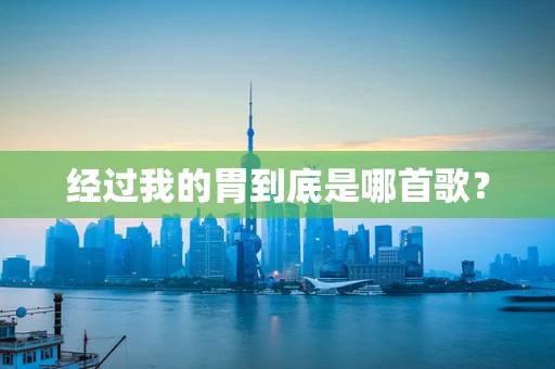 经过我的胃到底是哪首歌？