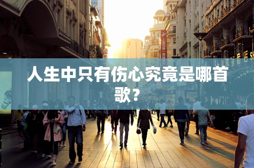人生中只有伤心究竟是哪首歌？