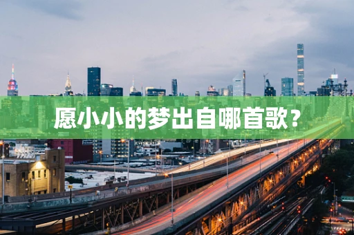愿小小的梦出自哪首歌？