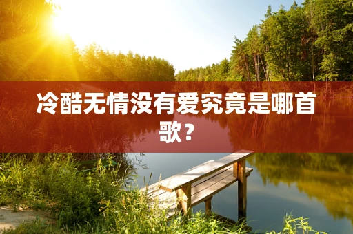 冷酷无情没有爱究竟是哪首歌？