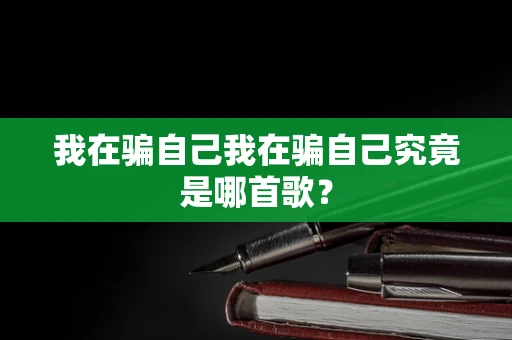 我在骗自己我在骗自己究竟是哪首歌？