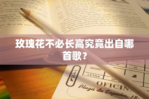 玫瑰花不必长高究竟出自哪首歌？