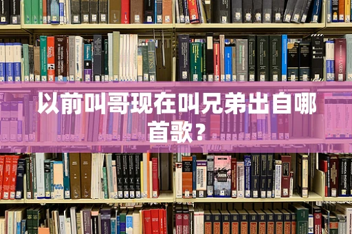 以前叫哥现在叫兄弟出自哪首歌？
