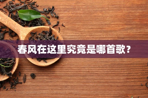 春风在这里究竟是哪首歌？