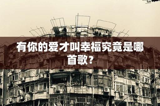 有你的爱才叫幸福究竟是哪首歌？