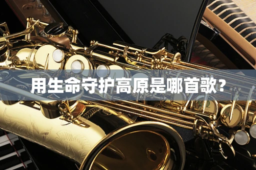 用生命守护高原是哪首歌？