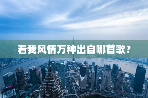 看我风情万种出自哪首歌？