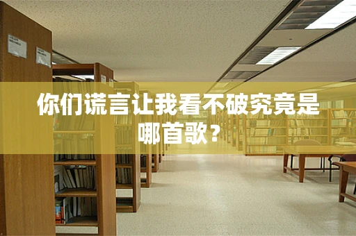 你们谎言让我看不破究竟是哪首歌？