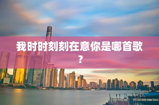 我时时刻刻在意你是哪首歌？