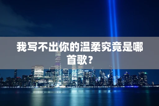 我写不出你的温柔究竟是哪首歌？