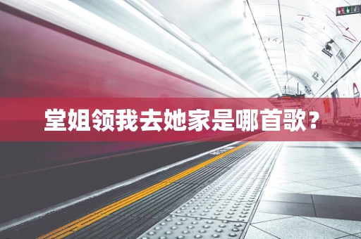 堂姐领我去她家是哪首歌？