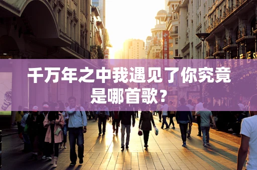 千万年之中我遇见了你究竟是哪首歌？
