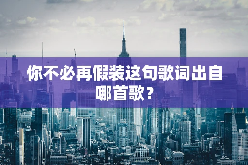 你不必再假装这句歌词出自哪首歌？