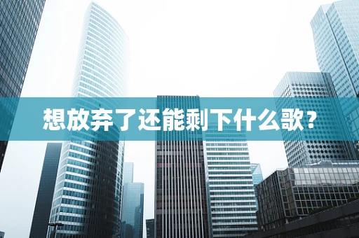 想放弃了还能剩下什么歌？