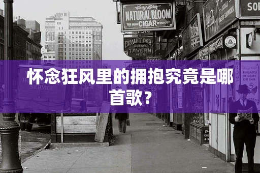 怀念狂风里的拥抱究竟是哪首歌？