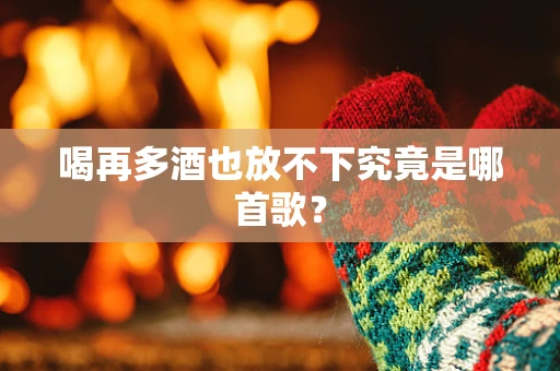 喝再多酒也放不下究竟是哪首歌？