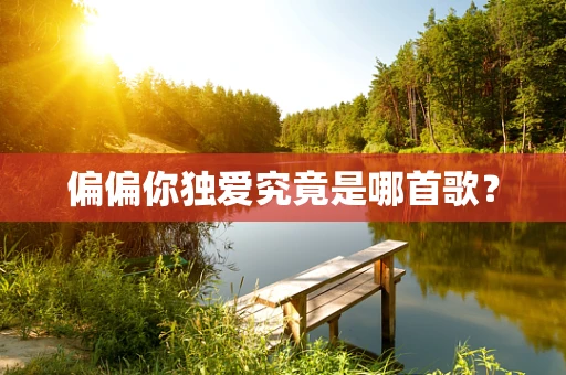 偏偏你独爱究竟是哪首歌？