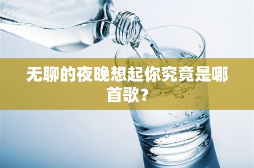 无聊的夜晚想起你究竟是哪首歌？