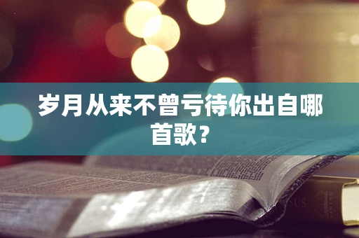 岁月从来不曾亏待你出自哪首歌？
