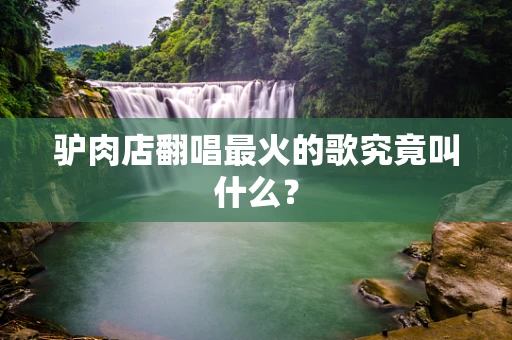 驴肉店翻唱最火的歌究竟叫什么？