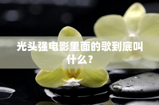 光头强电影里面的歌到底叫什么？