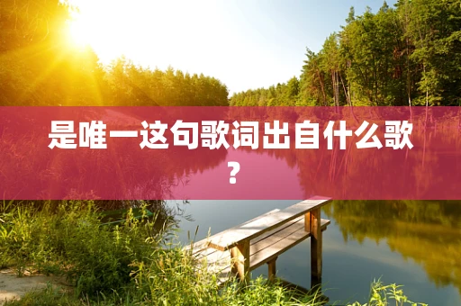 是唯一这句歌词出自什么歌？