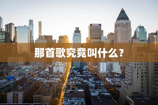 那首歌究竟叫什么？