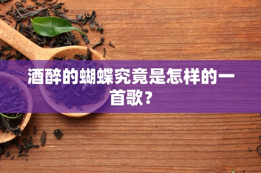酒醉的蝴蝶究竟是怎样的一首歌？
