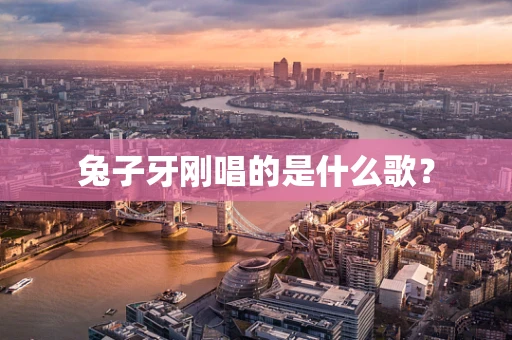 兔子牙刚唱的是什么歌？