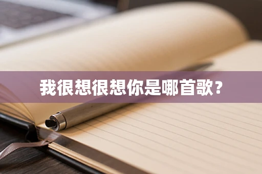 我很想很想你是哪首歌？