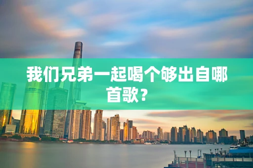 我们兄弟一起喝个够出自哪首歌？