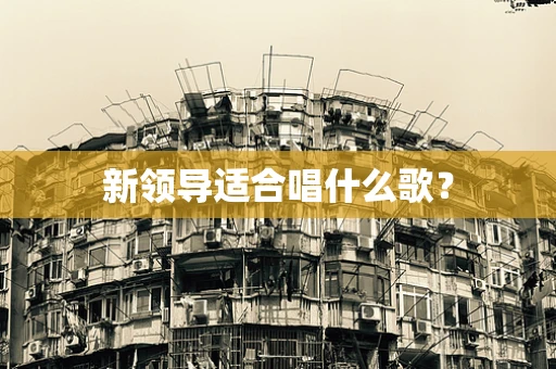 新领导适合唱什么歌？