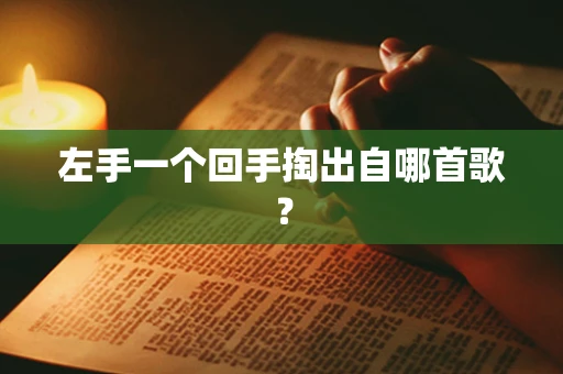 左手一个回手掏出自哪首歌？