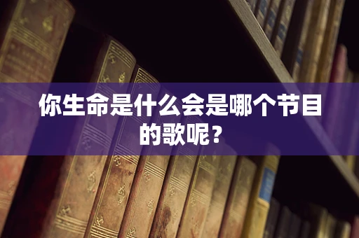 你生命是什么会是哪个节目的歌呢？