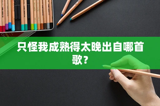 只怪我成熟得太晚出自哪首歌？