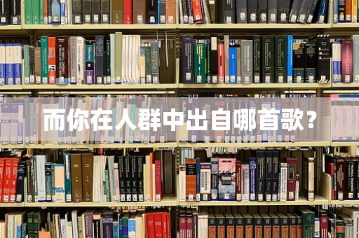 而你在人群中出自哪首歌？