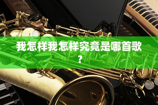 我怎样我怎样究竟是哪首歌？
