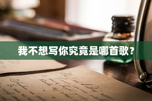我不想写你究竟是哪首歌？