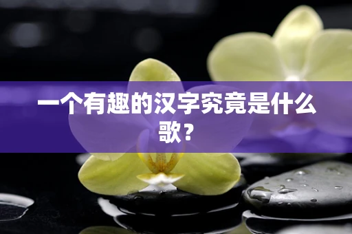 一个有趣的汉字究竟是什么歌？