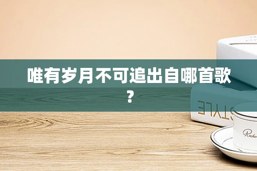 唯有岁月不可追出自哪首歌？