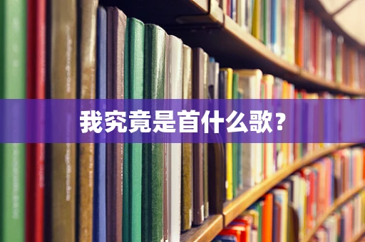 我究竟是首什么歌？