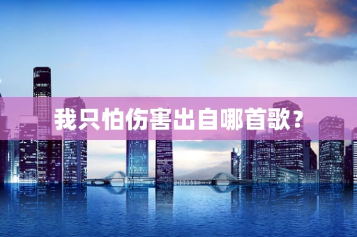 我只怕伤害出自哪首歌？
